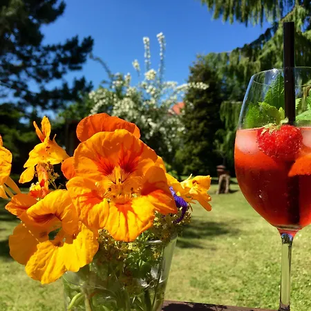 安贝勒彻恩酒店 酒店 施特拉尔松德